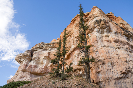 landscape on the bryce canyon in the united states of americaのeditorial素材