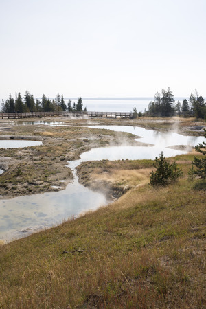 Geyser in Yellowstone National Park in Wyomingのeditorial素材