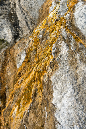 Geyser in Yellowstone National Park in Wyomingの写真素材