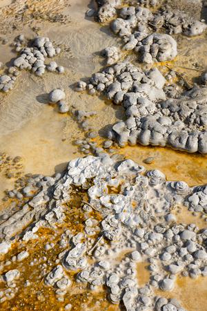 Geyser in Yellowstone National Park in Wyoming