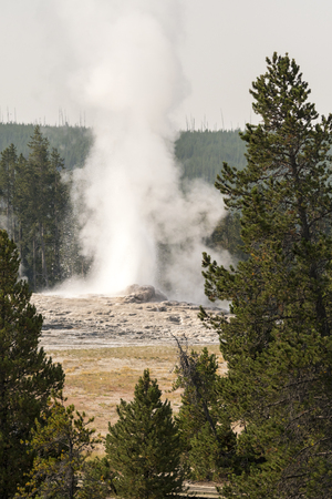 Geyser in old faithful Basin in Yellowstone National Park in Wyomingの写真素材