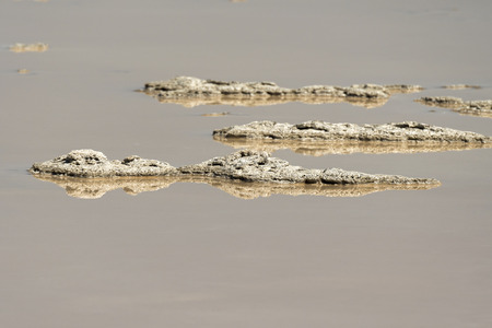 Geysers in the Firehole canyon drive in Yellowstone National Park in Wyomingの写真素材