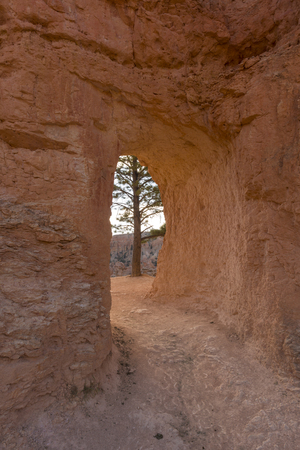 horse footprints on trail in bryce canyon landscape on the united states of americaのeditorial素材