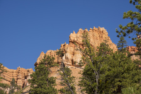 trail and trees in bryce canyon landscape in the united states of americaのeditorial素材