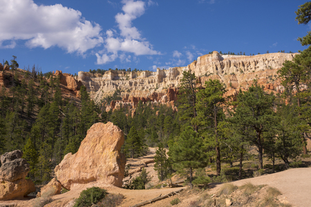trail and trees in bryce canyon landscape in the united states of americaのeditorial素材