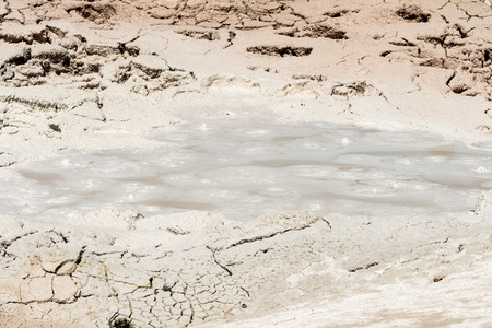 Fountain Paint Pot trail between gayser, boiling mud pools and burnt trees in Yellowstone National...