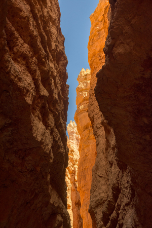 landscape on the bryce canyon in the united states of americaの写真素材