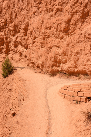 landscape on the bryce canyon in the united states of americaの写真素材