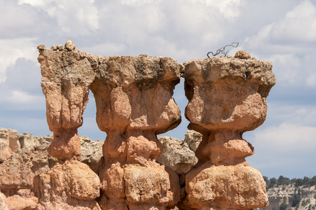 landscape on the bryce canyon in the united states of americaの写真素材
