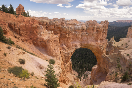 landscape on the bryce canyon in the united states of americaの写真素材