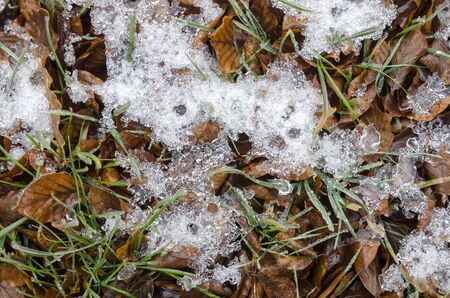 icy nature in winter in Italyの写真素材