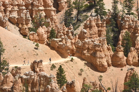 landscape on the bryce canyon in the united states of americaのeditorial素材