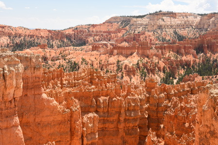 landscape on the bryce canyon in the united states of americaのeditorial素材