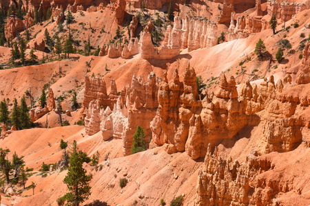 landscape on the bryce canyon in the united states of americaのeditorial素材