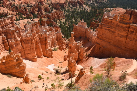 landscape on the bryce canyon in the united states of americaのeditorial素材