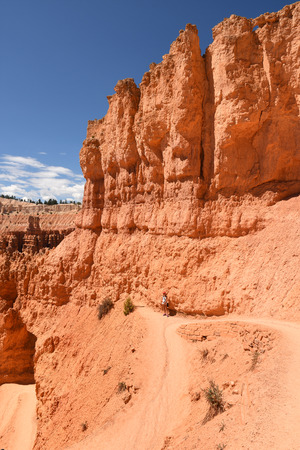 landscape on the bryce canyon in the united states of americaのeditorial素材