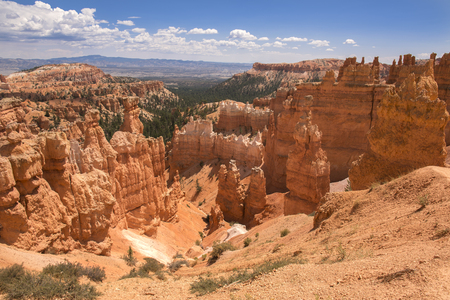 landscape on the bryce canyon in the united states of americaのeditorial素材