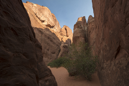 landscape on arches national park in the united states of americaのeditorial素材