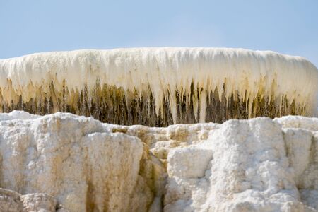 thermal springs and limestone formations at mammoth hot springs in Wyoming in Americaの写真素材