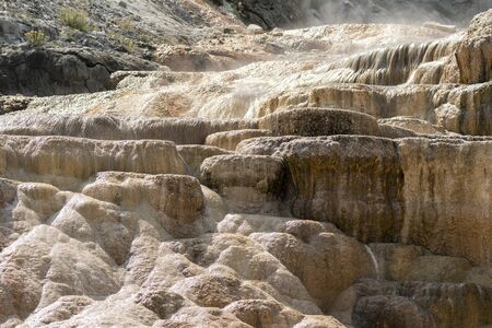 thermal springs and limestone formations at mammoth hot springs in Wyoming in America