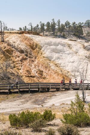 thermal springs and limestone formations at mammoth hot springs in Wyoming in Americaの写真素材