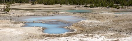 norris geyser back basin in in Yellowstone National Park in Wyoming