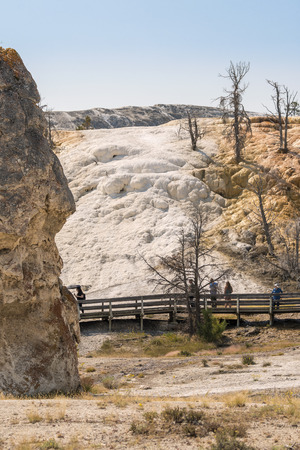 thermal springs and limestone formations at mammoth hot springs in Wyoming in Americaのeditorial素材