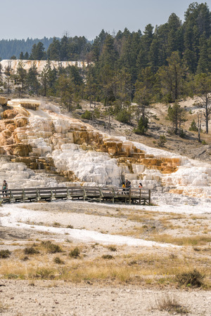 thermal springs and limestone formations at mammoth hot springs in Wyoming in Americaのeditorial素材