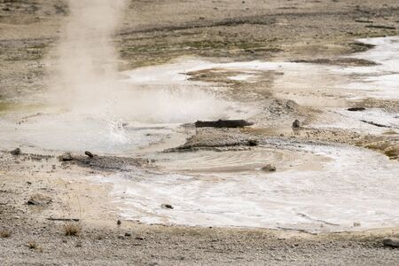 norris geyser back basin in Yellowstone National Park in Wyoming