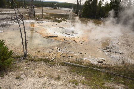 norris geyser back basin in Yellowstone National Park in Wyoming