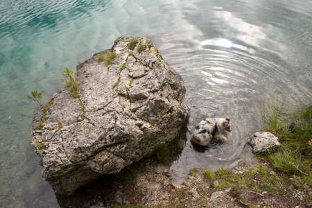 glimpses and details on Tovel Lake in Trentino Alto Adige in Italy