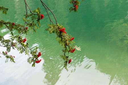 glimpses, details and landscape on Braies lake in Trentino Alto Adige in Italy