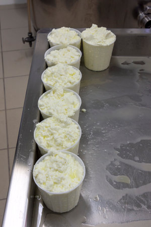 phases of ricotta production in a cheese factory in Greece