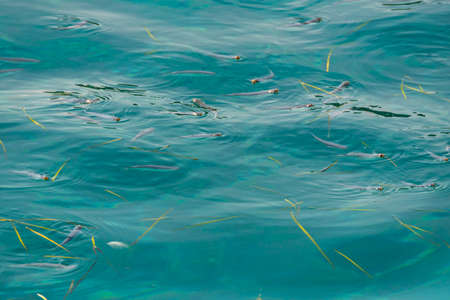 transparent sea on a boat trip in Aegina Greece