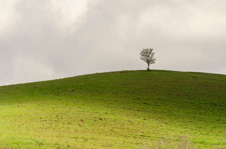 landscapes in the countryside of Tuscany in Italyの写真素材