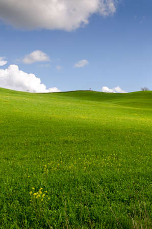 landscapes in the countryside of Tuscany in Italyの写真素材