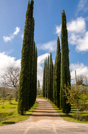 landscapes in the countryside of Tuscany in Italyの写真素材