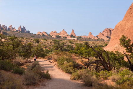 landscape on arches national park in the united states of americaの写真素材