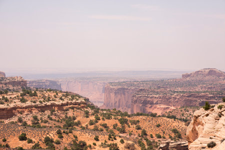 landscape in canyonlands National park in the united states of america