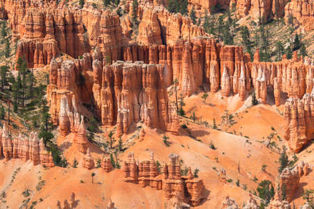 landscape on the bryce canyon in the united states of americaの写真素材
