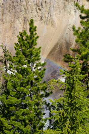 yellowstone river and falls Ingrand canyon in Yellowstone National Park in Wyomingの写真素材