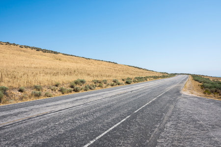 landscape on the road in Antelope island state park in salt lake city in Utahの写真素材