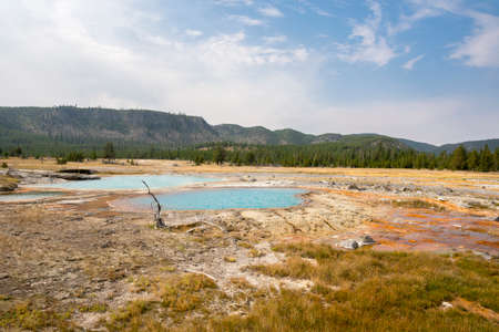 trees, river, Geyser and hot spring in old faithful basin in Yellowstone National Park in Wyomingの写真素材