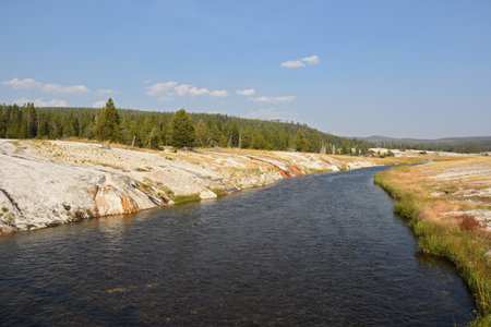 trees, river, Geyser and hot spring in old faithful basin in Yellowstone National Park in Wyomingの写真素材