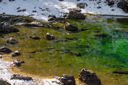 trees, mountain paths under the first snow on the lake of carezza in trentino alto adige in italy