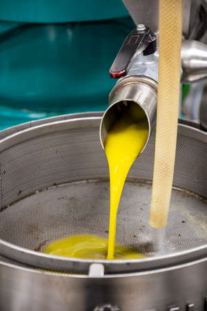 transformation of olives into oil in an oil mill in greeceの写真素材