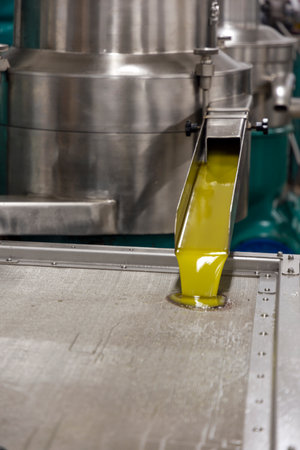 transformation of olives into oil in an oil mill in greeceの写真素材