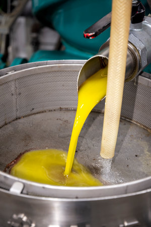 transformation of olives into oil in an oil mill in greeceの写真素材