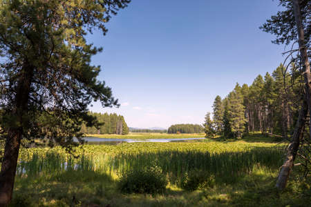 panorama of swan lake in teton national park in Wyomingの写真素材