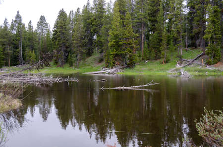 sunrise in Yellowstone lake in Yellowstone National Park in Wyomingの写真素材